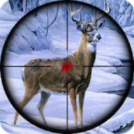 Sniper Animal Shooting 3D(动物终极猎人)